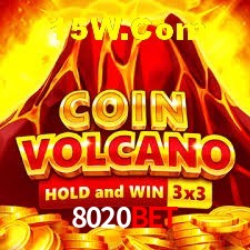 Experiência VIP 8020Bet